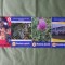 ROMANIA APICOLA - REVISTA ASOCIATUEI CRESCATORILOR DE ALBINE DIN ROMANIA