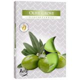 Set 6 pastile lumanari parfumate bispol - olive grove, Stonemania Bijou