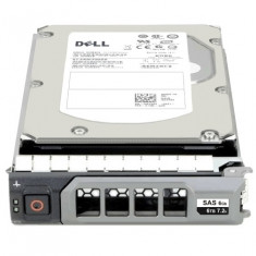 Hard disk Server/Storage 6TB SAS 12 Gbps 128MB Dell - NWCCG