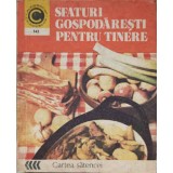 SFATURI GOSPODARESTI PENTRU TINERE-TAMARA GRANEANU-222815