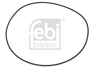 FEBI BILSTEIN 100256 inel de etansare,butuc roata foto