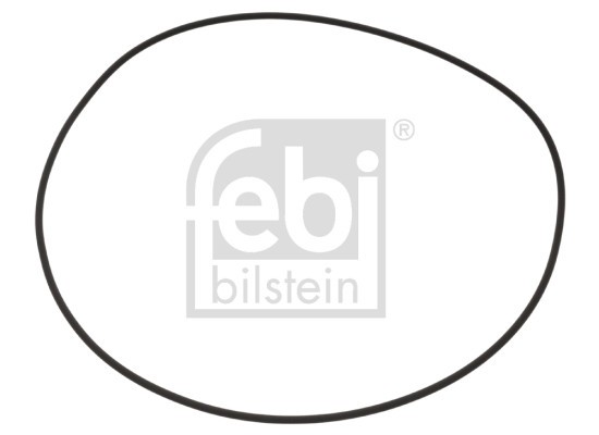 FEBI BILSTEIN 100256 inel de etansare,butuc roata