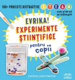 Experimente stiintifice pentru copii, Grupul Art