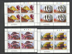 DOMINICA 2004 FAUNA MARINA PESTI foto