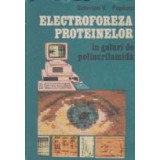 Electroforeza proteinelor in geluri de poliacrilamida