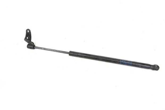 Amortizor capota st&acirc;nga față TESLA MODEL S 2015 OEM: 1062634-00-A 10821806