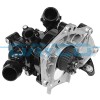 DAYCO DP1973 Pompă de apă, răcire motor