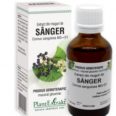 Extract din muguri de sanger 50ml