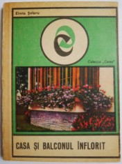 Casa si balconul inflorit ? Elena Selaru foto