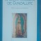 Sfanta Fecioara de Guadalupe - Bruno Bonnet-Eymard