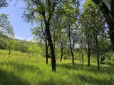 Teren de v&acirc;nzare &icirc;n Tiocul de Jos, comuna Cornești (zona Gherla) &ndash; aproape de Cluj-Napoca