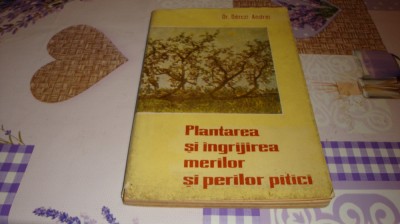 Berczi Andrei - Plantarea si ingrijirea merilor si perilor pitici - 1962 foto
