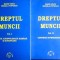 Dreptul muncii-Marin Voicu , Mihaela Popoaca