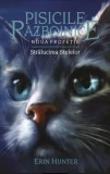 Stralucirea stelelor. Seria Noua profetie. Volumul 10/Erin Hunter