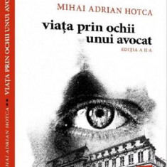 Viata prin ochii unui avocat. Ed. a II-a