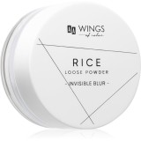 AA Wings of Color Rice pudra pulbere transparentă 9 g