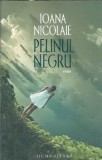 Cumpara ieftin Pelinul Negru - Ioana Nicolaie, Editura Humanitas, 2017, Carti Literatura Romana