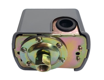 Progarden Presostat mecanic, 1.4-4.6 bar, FI &amp;frac14;&amp;rdquo; ProAdvanced PowerfulTools foto