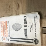 B. Cunostinte folositoare Amidonul si Glucoza