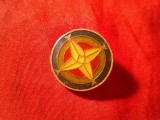 Insigna Orientare - Roza Vanturilor , metal si email , d=2cm