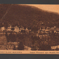 CPIB 20966 CARTE POSTALA - BAILE SLANIC MOLDOVA. VEDERE SPRE MUNTELE PUF, 1926