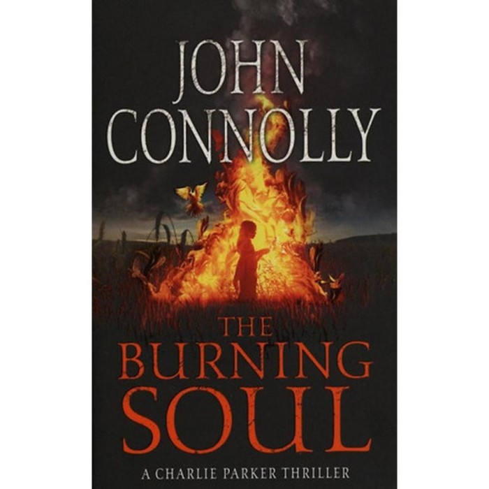 The Burning Soul - John Connolly
