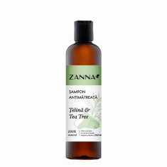 Sampon Antimatreata cu extract Telina si Tea Tree, 250ml, Zanna