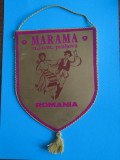 Fanion MARAMA UJCM Prahova / CD1P