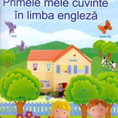 Primele mele 500 de cuvinte în limba engleză - Paperback brosat - *** - Niculescu