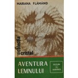 Aventura lemnului - 1982 - Mariana Flamand (AR224)