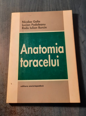 Anatomia toracelui Nicolae galie foto