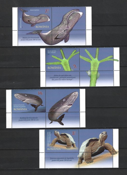 ROMANIA 2023 - CAMPIONII LONGEVITATII, VINIETA 1, MNH - LP 2440