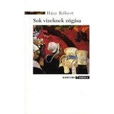 Sok vizeknek z&uacute;g&aacute;sa - H&aacute;sz R&oacute;bert