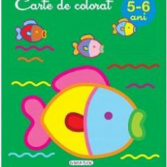 Carte de colorat 5-6 ani