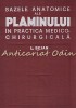 Bazele Anatomice Ale Plamanului In Practica Medico-Chirurgicala - L. Bejan