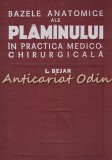 Bazele Anatomice Ale Plamanului In Practica Medico-Chirurgicala - L. Bejan