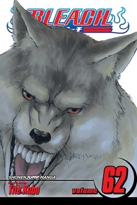 Bleach, Volume 62