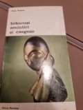 Brancusi amintiri si exegeze - Petre Pandrea