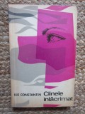 Cainele inlacrimat - Ilie Constantin CU DEDICATIE SI AUTOGRAF