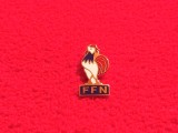 Insigna - Federatia Franceza de Natatie