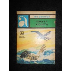 Ion Ochinciuc - Egreta violeta