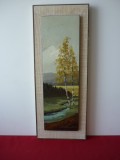 Tablou Ulei pe Carton Semnat Mesteacăn 46x18 cm - Pictură Peisaj Natură Artă Decorativă Colecție