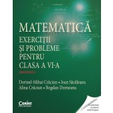 Matematică. Exerciţii şi probleme pentru clasa a VI-a. Semestrul I
