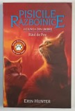 PISICILE RAZBOINICE , VIZIUNEA DIN UMBRE , RAUL DE FOC , CARTEA A XXXV - A de ERIN HUNTER , 2023