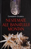 Nestemate Banatului Montan - Constantin Gruesc - Carte