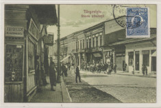 Targoviste-Strada Libertatii,circulata 1925 (Firme-Foto,Lustragerie,Librarie) foto