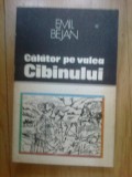 E3 Calator Pe Valea Cibinului - Emil Bejan