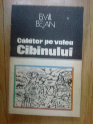 e3 Calator Pe Valea Cibinului - Emil Bejan foto