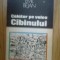 e3 Calator Pe Valea Cibinului - Emil Bejan