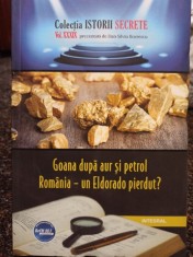 Dan Silviu Boerescu - Goana dupa aur si petrol (Editia: 2019) foto
